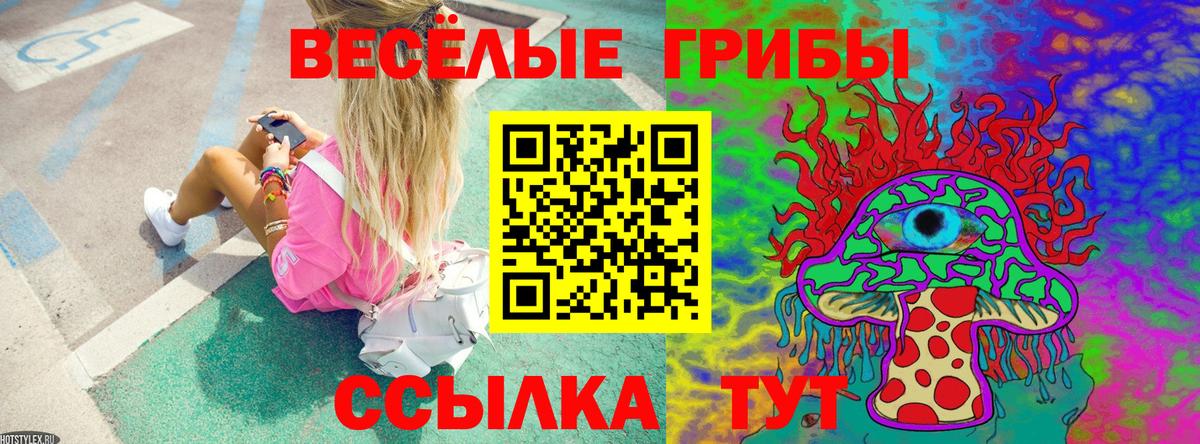 Псилоцибиновые грибы GOLDEN TEACHER Ялта
